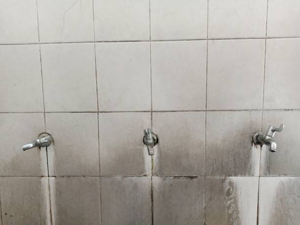 Best 24/7 water damage repair  in Gerdine, AL