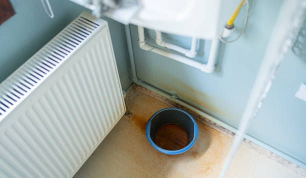 Best Water damage mitigation services  in Gerdine, AL